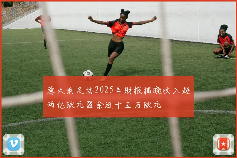 意大利足协2025年财报揭晓收入超两亿欧元盈余近十五万欧元